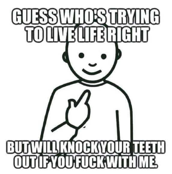 Meet your Posher, Max - Picture 1 of 1